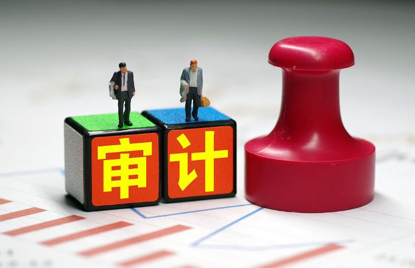 中华人民共和国审计法实施条例